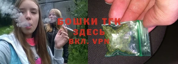 МДПВ Верхний Тагил