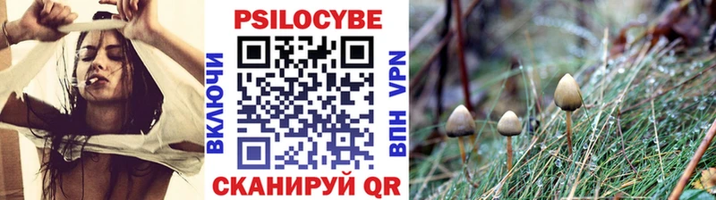 Галлюциногенные грибы ЛСД  Вилючинск 